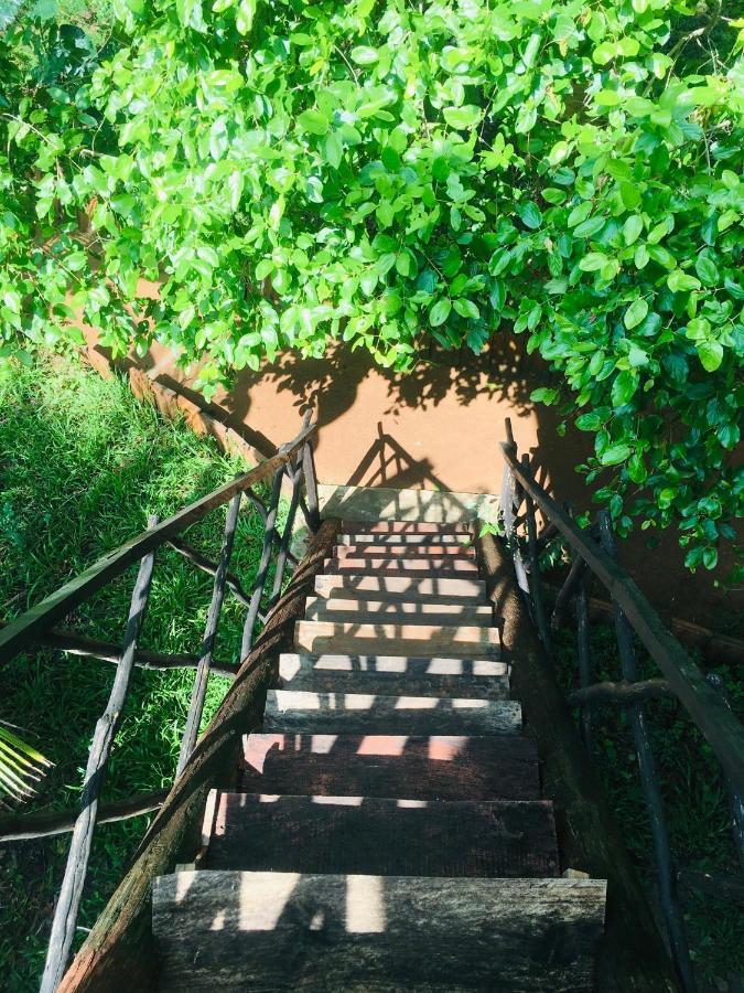 Tree House Hostel Sigirija Zewnętrze zdjęcie