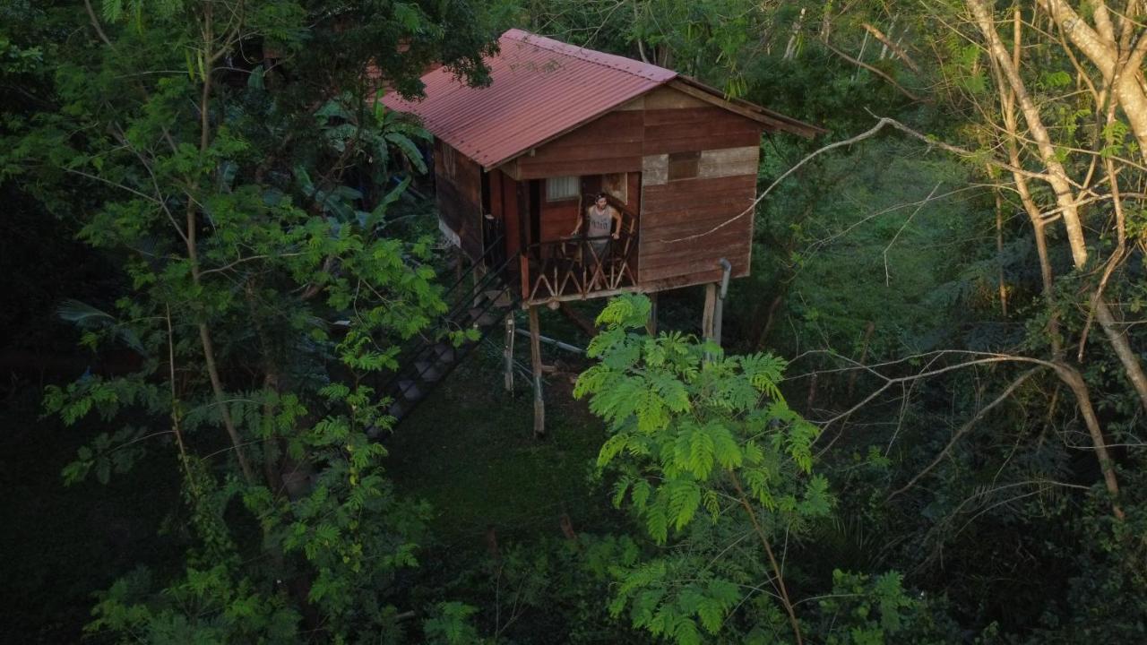 Tree House Hostel Sigirija Zewnętrze zdjęcie