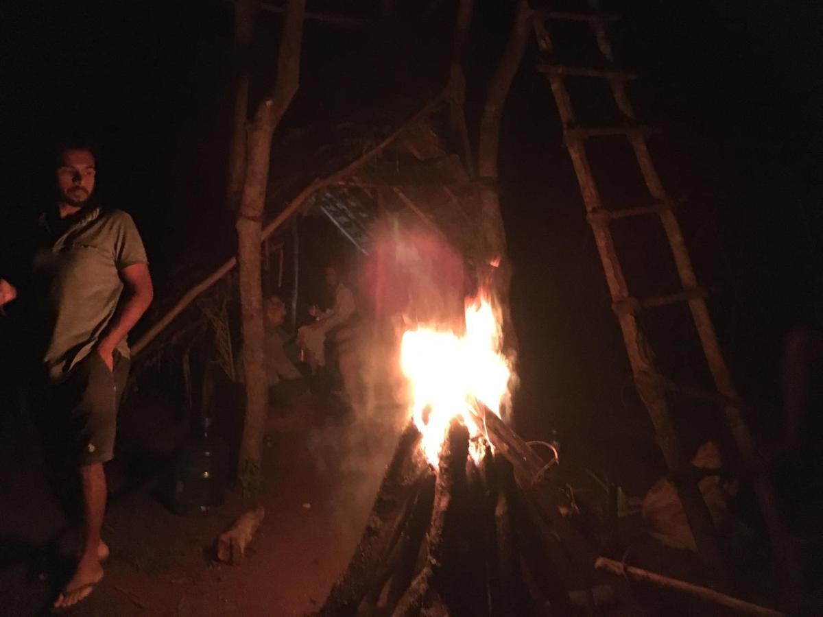 Tree House Hostel Sigirija Zewnętrze zdjęcie