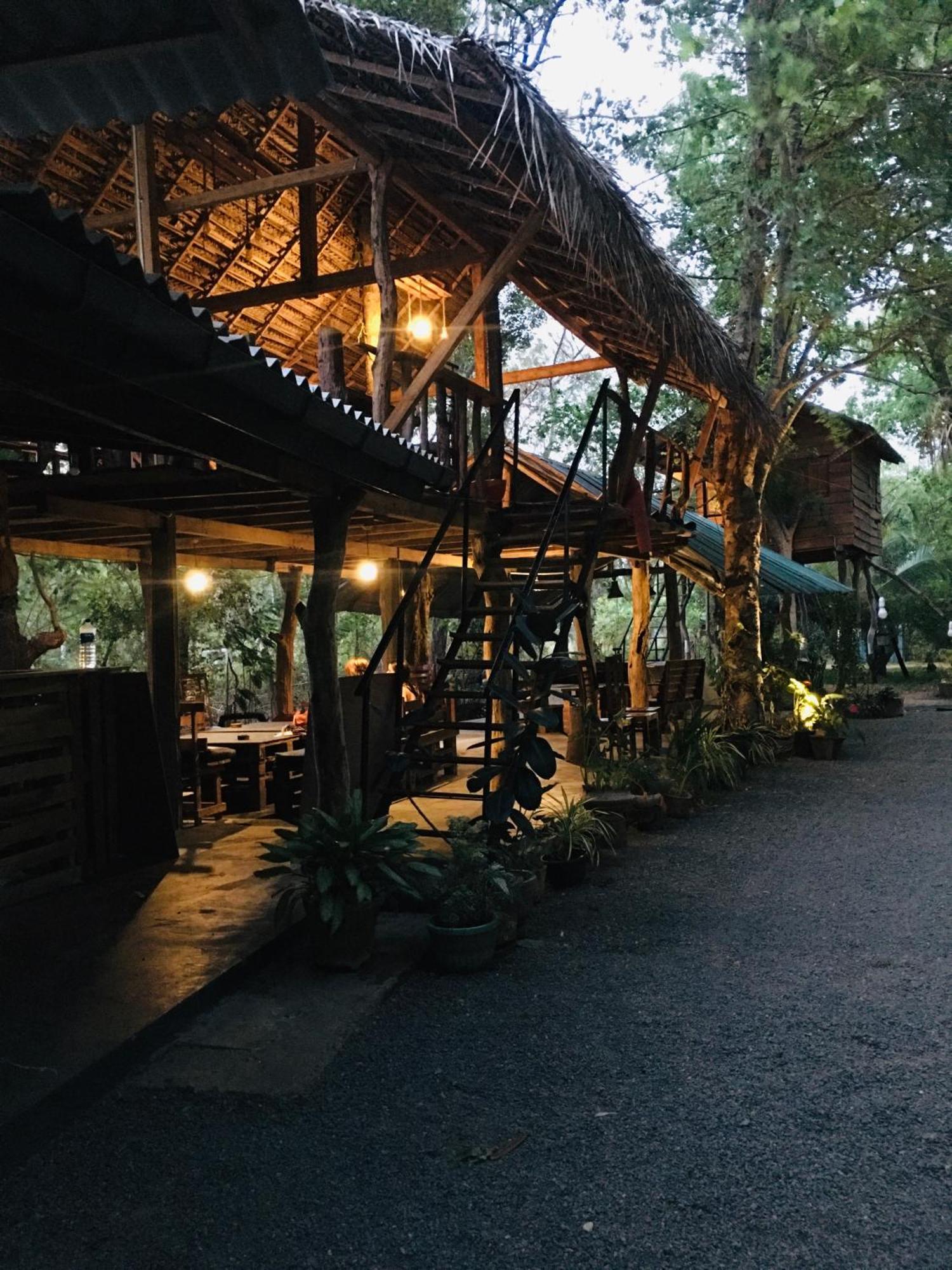 Tree House Hostel Sigirija Zewnętrze zdjęcie