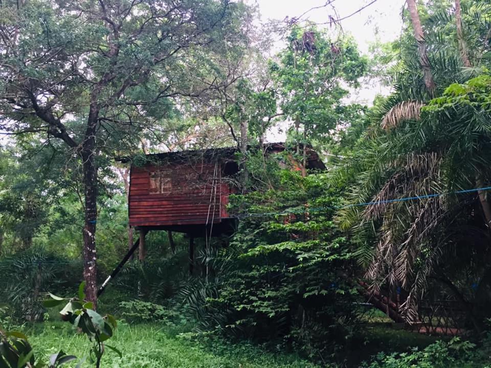 Tree House Hostel Sigirija Zewnętrze zdjęcie
