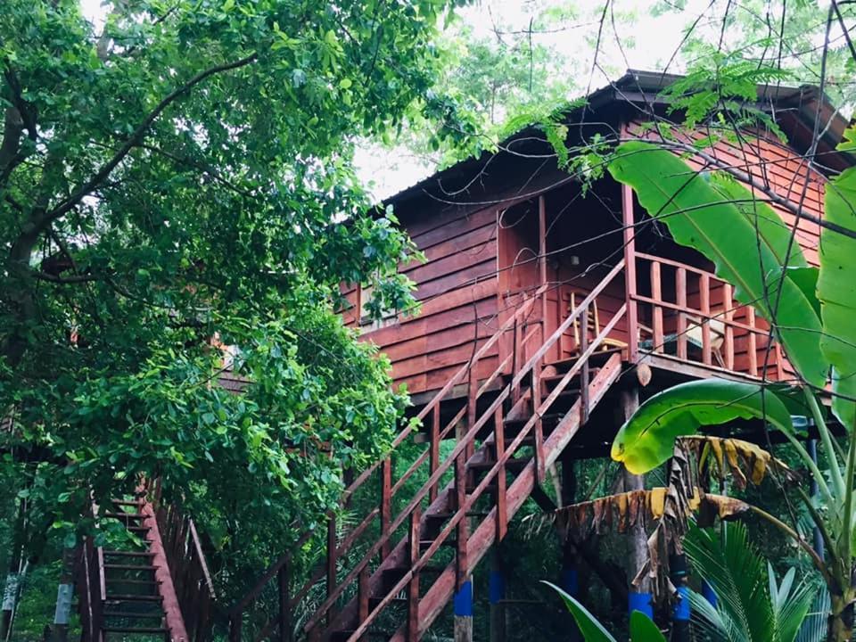 Tree House Hostel Sigirija Zewnętrze zdjęcie