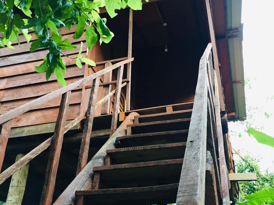 Tree House Hostel Sigirija Zewnętrze zdjęcie