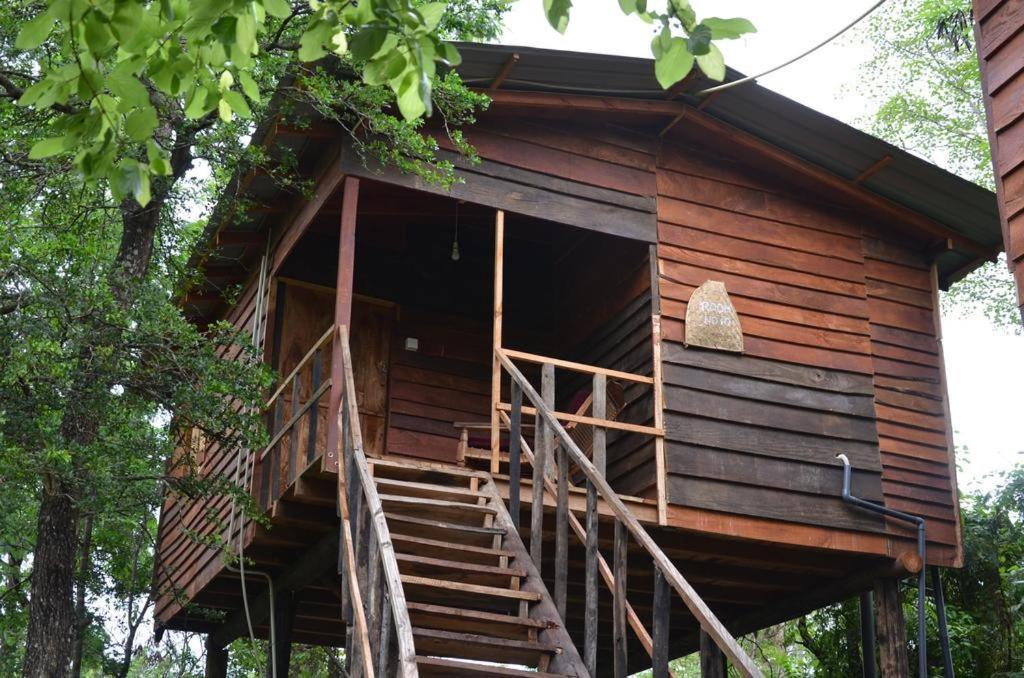 Tree House Hostel Sigirija Zewnętrze zdjęcie